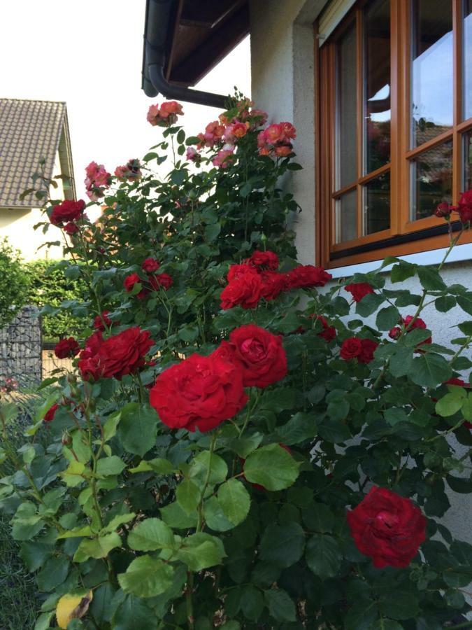Ferienwohnung Stoerblick Schwerin Raben Steinfeld Luaran gambar